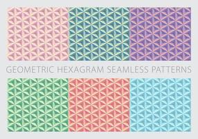 Geometric Hexagram Seamless Patterns Pastel Color Set vector