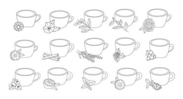 a set of cups of tea with different flavors in the doodle style on an isolated background vector