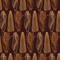 Vector Vegetable background. Hand drawn doodle Corn cobs and corn grains pattern