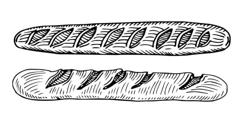 Vector hand drawn doodle sketch baguette bread isolated on white background