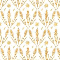 Oat or wheat pattern vector. oat symbol. rice pattern. wallpaper. free space for text. copy space. vector