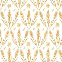 Oat or wheat pattern vector. oat symbol. rice pattern. wallpaper. free space for text. copy space. vector