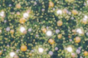 Abstract blurred christmas tree with bokeh light background photo