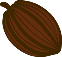 cacao frutta scarabocchio a mano libera disegno. png