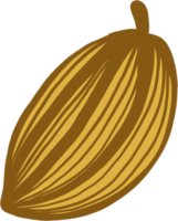 dessin à main levée de doodle de fruits de cacao. png