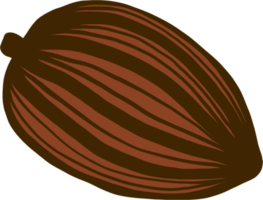dessin à main levée de doodle de fruits de cacao. png