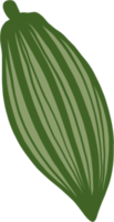 desenho à mão livre de doodle de frutas de cacau. png