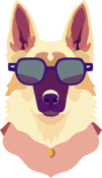 gráfico ilustrativo de un perro pastor alemán con gafas de sol aislado bueno para icono, mascota, impresión, elemento de diseño o personalizar su diseño png