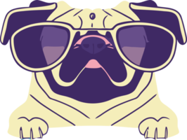 gráfico de ilustração de pug usando óculos de sol isolado bom para logotipo, ícone, mascote, imprimir ou personalizar seu design png