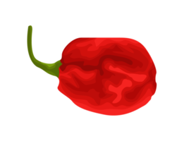 Illustration of a Red Chili png