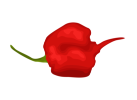 ilustração de restos de pimentão vermelho png