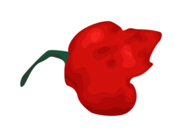 illustratie van overgebleven rood Chili png