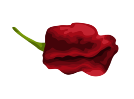 illustration av återstående mörk röd chili png