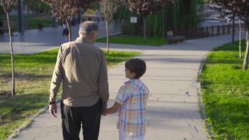opa en kleinkind wandelen buitenshuis. opa en kleinkind zijn wandelen in de park. video