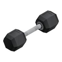 Rubber dumbbell icon, isometric style vector