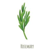 Rosemary plant icon, cartoon style vector