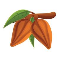 Cocoa tree branch icon, cartoon style vector