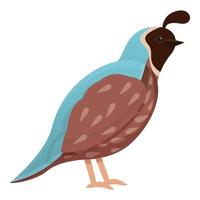 Wildlife quail icon, cartoon style vector