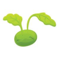 Growing cabbage icon, cartoon style vector