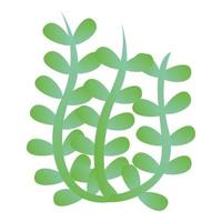 Algae icon, cartoon style vector