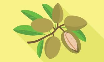 Almond branch icon, flat style vector