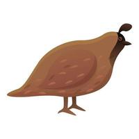 Farm quail icon, cartoon style vector