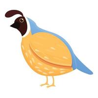 Feather quail icon, cartoon style vector