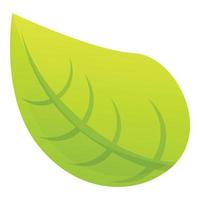 Green leaf icon, cartoon style vector