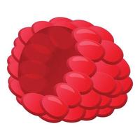 Clean raspberry icon, cartoon style vector