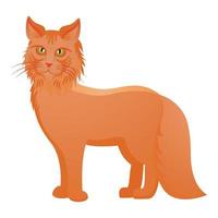 Red maine coon icon, cartoon style vector