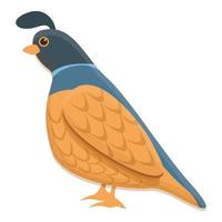 Quail icon, cartoon style vector