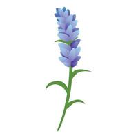 icono de aromaterapia lavanda, estilo de dibujos animados vector