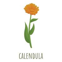 Calendula flower icon, cartoon style vector