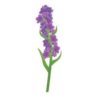 icono de planta de lavanda, estilo de dibujos animados vector