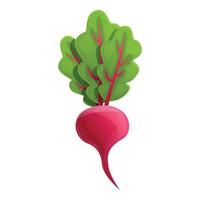 Eco beet icon, cartoon style vector