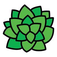 Top view succulent plant icon, outline style vector