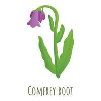 Comfrey root icon, cartoon style vector