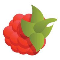 Raspberry icon, cartoon style vector