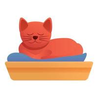 Sleeping cat in box icon, cartoon style vector