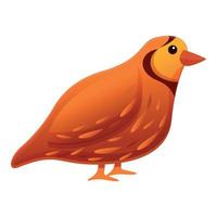 icono de pájaro codorniz, estilo de dibujos animados vector