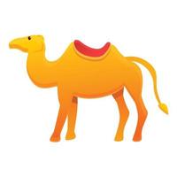 Egypt camel icon, cartoon style vector