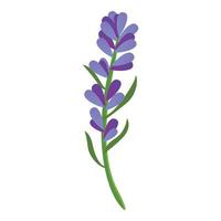 icono de lavanda de decoración, estilo de dibujos animados vector