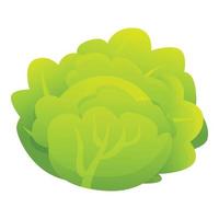 Salad cabbage icon, cartoon style vector