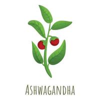 Ashwagandha plant icon, cartoon style vector