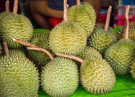 Fresh durian fruit from the durian garden for sale in the local market thailand tropical fruit photo