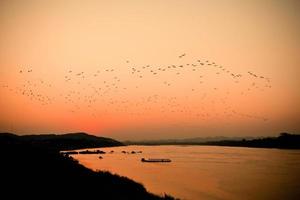 Silhouette sunset river evening with flock flying birds above lake orange sky photo