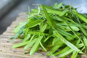 Fruit of Leucaena leucocepphala seed for food in asia White popinac photo