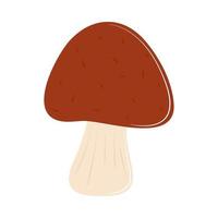 mushroom vegetarian food vector