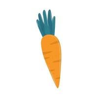 carrot vegetable icon vector