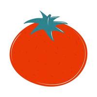 icono de tomate vegetal vector